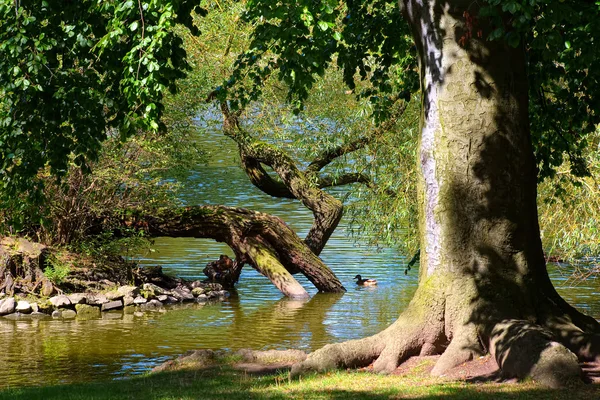 インド夏、公園で — ストック写真