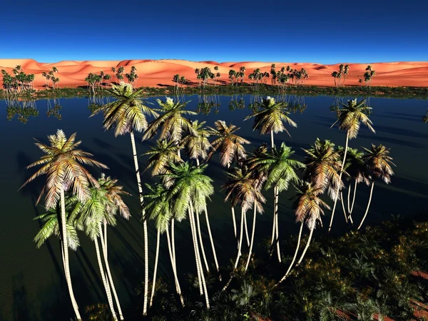 Afrikanische Oase — Stockfoto