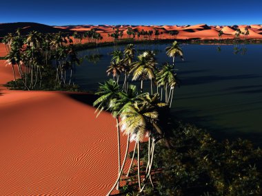 Afrika oasis