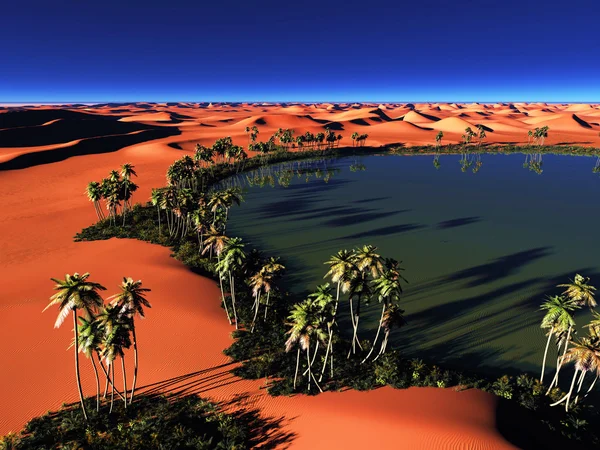 African oasis — Stock Photo, Image