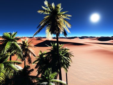 Afrika oasis
