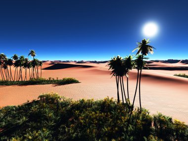 Afrika oasis
