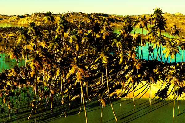 Paraíso tropical —  Fotos de Stock