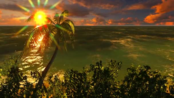 Hawaiian paradise -tropical island at sun set — Stock Video