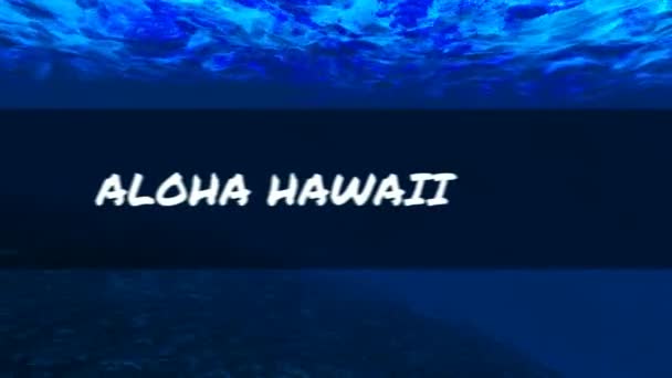 Aloha aus hawaii unter wasser — Stockvideo