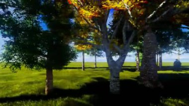 gölgelik orman - pan