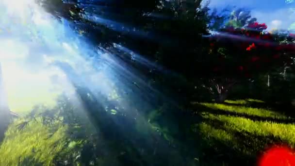 冠层的森林-潘 — 图库视频影像
