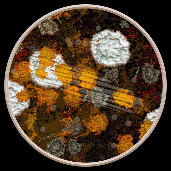 Illustration of fungus