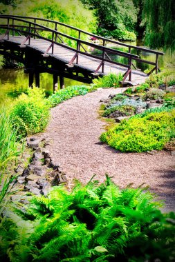 geleneksel Japon Köprüsü