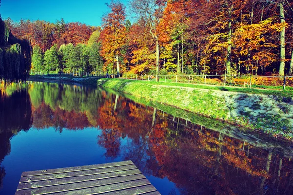Herbstzeit im Park — Stockfoto