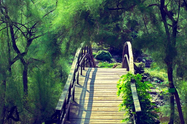 Traditionelle japanische Brücke — Stockfoto