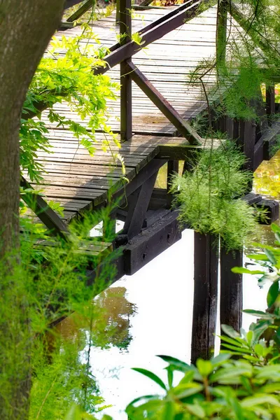 Traditionelle japanische Brücke — Stockfoto