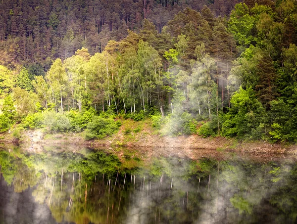 Lago del pantano — Foto de Stock