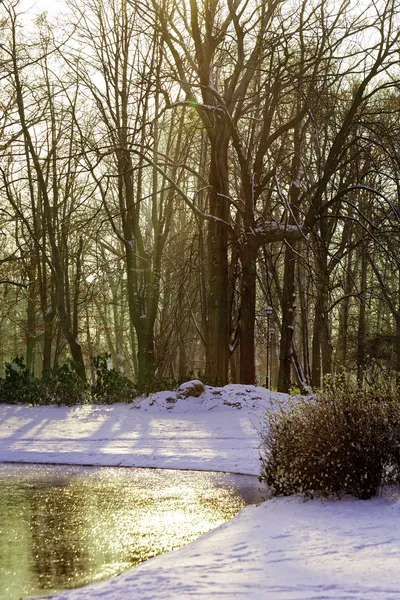 Invierno en parque —  Fotos de Stock