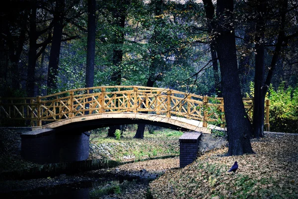 Japanische Brücke — Stockfoto