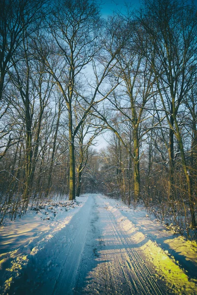 Winterliche Landschaft — Stockfoto
