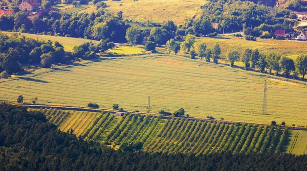 Вид с воздуха на деревню — стоковое фото