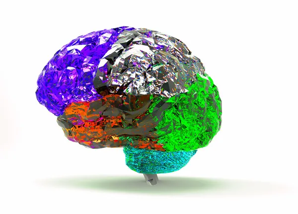 Modelo de cerebro humano i — Foto de Stock