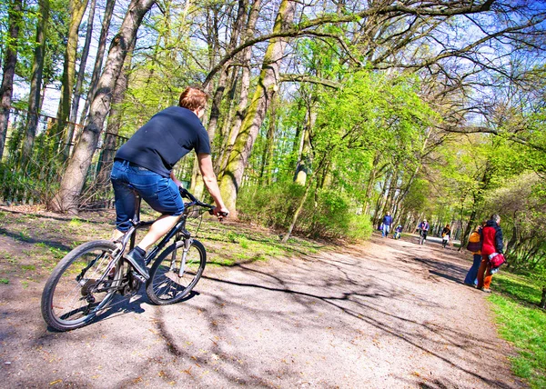 Jinete de bicicletas en el parque de primavera — Foto de Stock