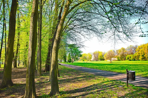 Spring time in park Stock Photo