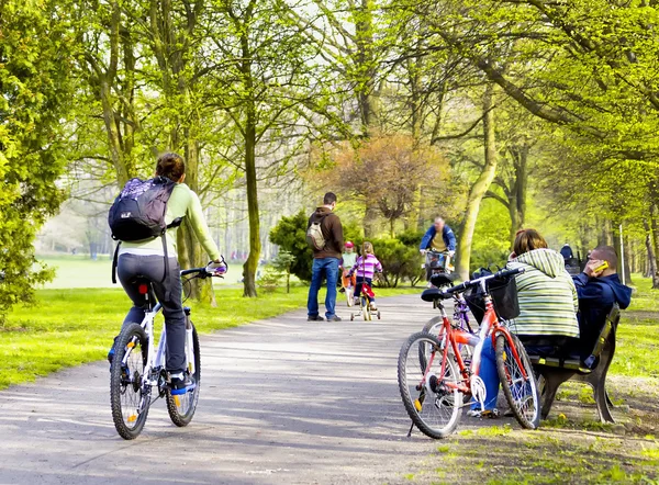 Ciclistas en el parque de primavera —  Fotos de Stock