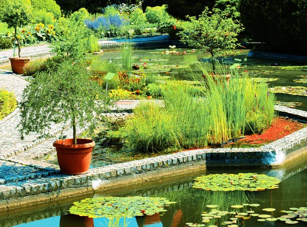 Botanical garden — Stock Photo, Image