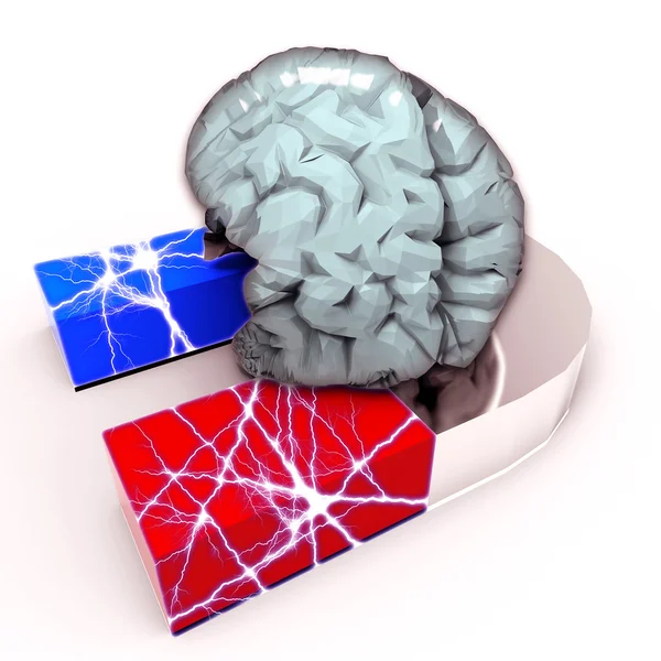 Human Brain and Magnet — Stock Photo, Image