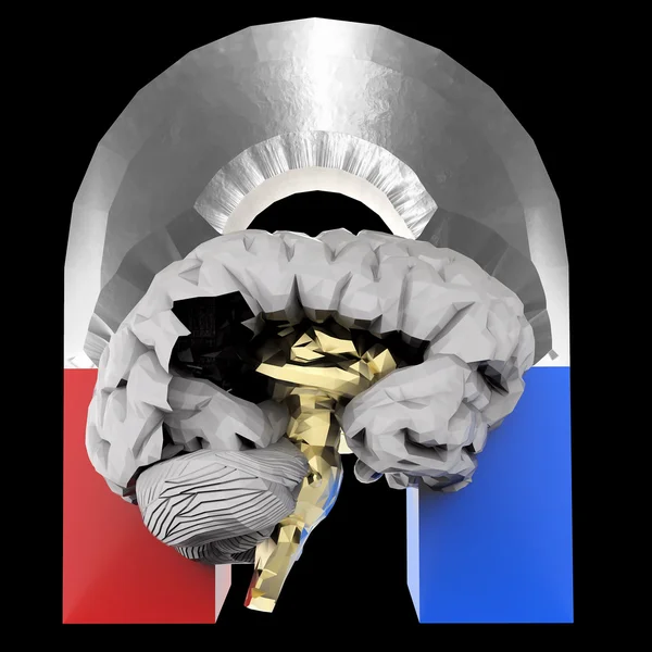 Cérebro Humano e Ímã — Fotografia de Stock