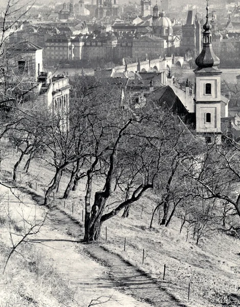 Foto weergegeven: architectuur van Praag — Stockfoto