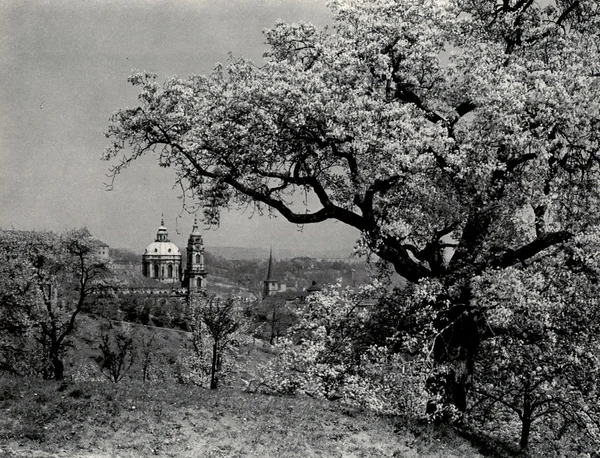 Foto weergegeven: architectuur van Praag — Stockfoto