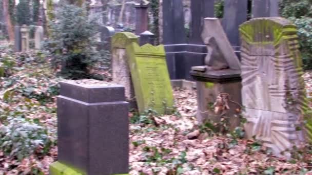 Еврейское старое кладбище — стоковое видео