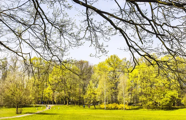 Spring park — Stockfoto