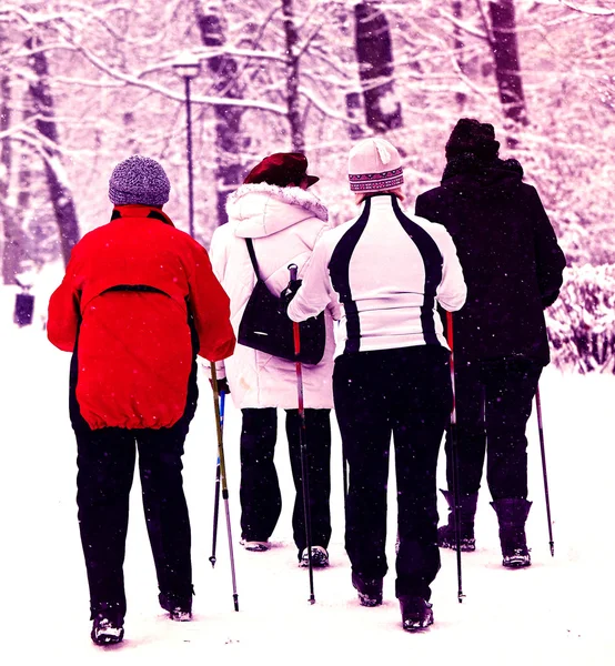 Nordic walking zimą — Zdjęcie stockowe