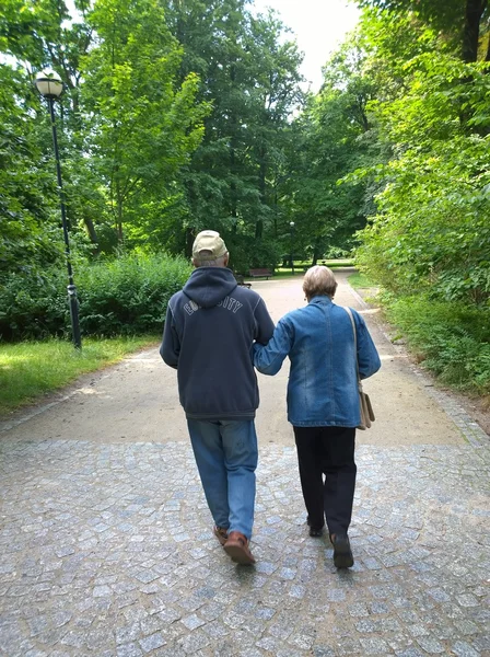 Senioren koppel in het park — Stockfoto