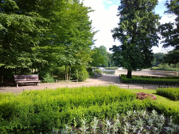 Parque em tempo de primavera — Fotografia de Stock