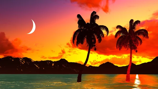 Paradies auf Hawaii — Stockfoto
