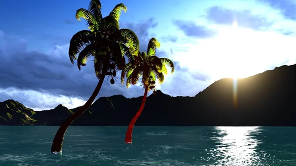 Paraíso na Ilha Havaí — Fotografia de Stock