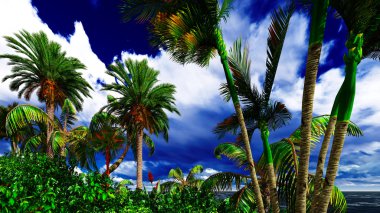 hawaii Adası cennet