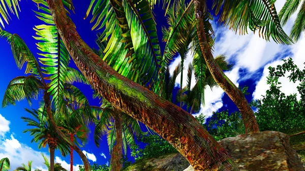Paradis på Hawaii – stockfoto
