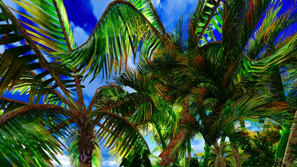 Рай на острові Гаваї — стокове фото
