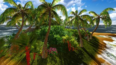 hawaii Adası cennet