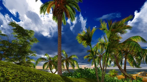 Paradise on Hawaii Island — Stock Photo, Image