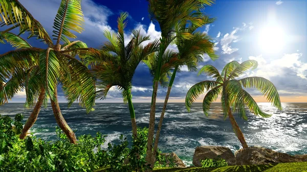 Hawaii szigetén paradicsom白いニット帽子新生児 — Stock Fotó
