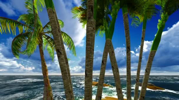 Paradiso sull'isola delle Hawaii — Video Stock