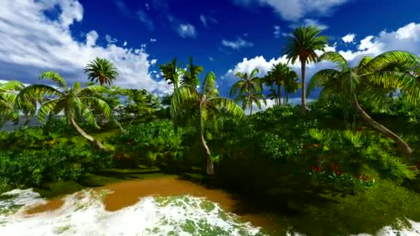 Paradiso sull'isola delle Hawaii — Video Stock