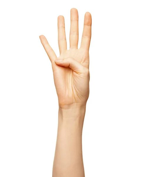 Kvinnlig hand visar nummer tecken fyra finger isolerad på vit Stockbild