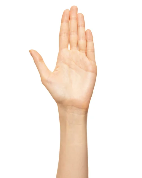 Elegancka żeńska dłoń lub nadgarstek wyizolowane na biało. Widok z tyłu — Zdjęcie stockowe