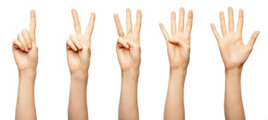 Beyazın üzerinde 1,2,3,4,5 'ten kadın elleri sayıyor. Güzel kadın parmakları geri sayım sıfır, bir gösteriyor. İki, üç, dört, beş.