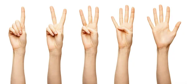 Samice liczą od 1,2,3,4,5 na białym. Piękne kobiece palce pokazują odliczanie zero, jeden. dwa, trzy, cztery, pięć — Zdjęcie stockowe