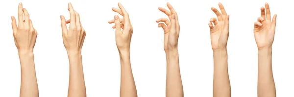 Елегантна жіноча долоня або зап'ястя ізольовані на білому. Варіація красивої жіночої долоні з вигнутими пальцями. Вид спереду і ззаду — стокове фото